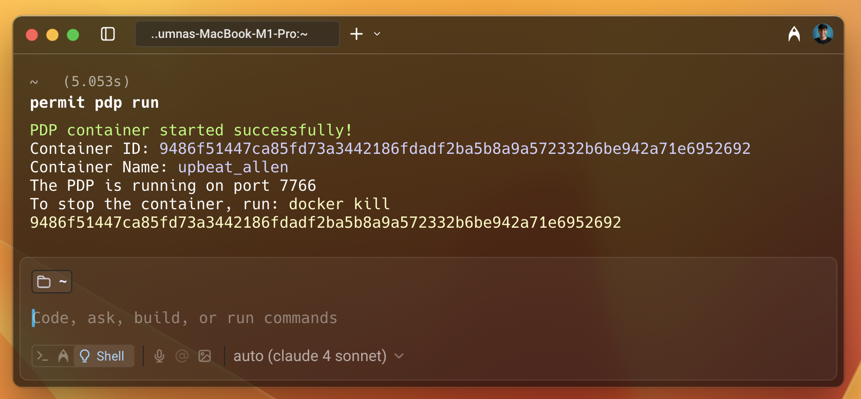 Terminal output of permit pdp run showing the PDP container details