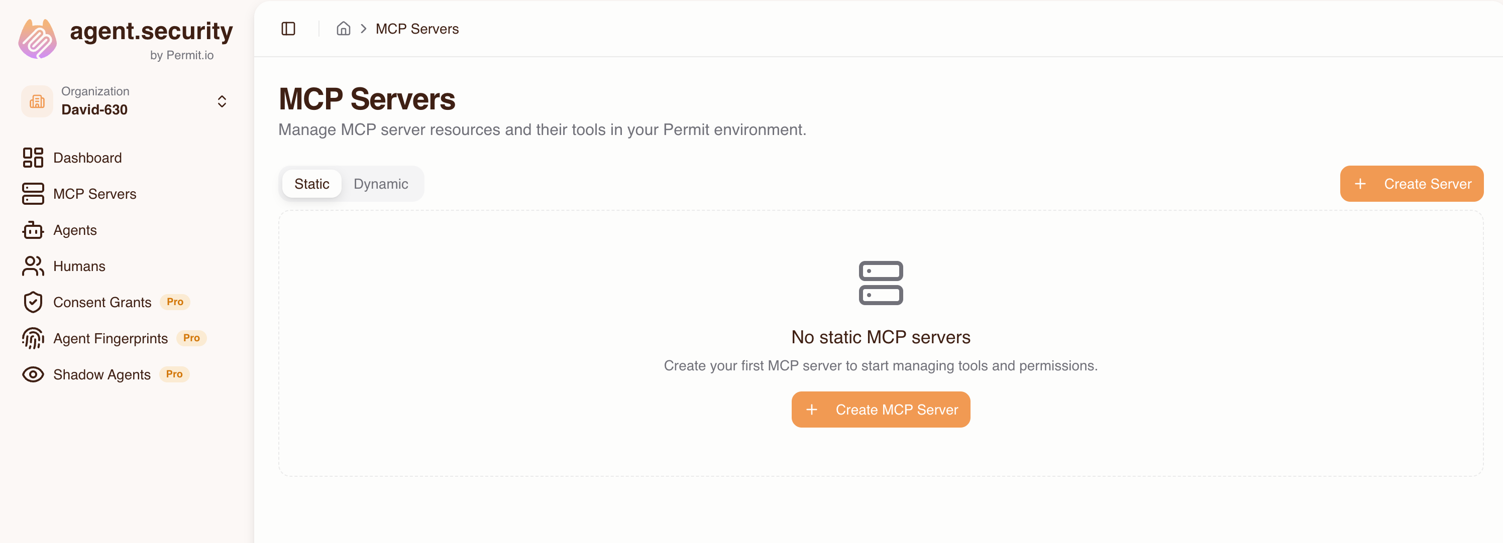 MCP Servers tab in the host configuration