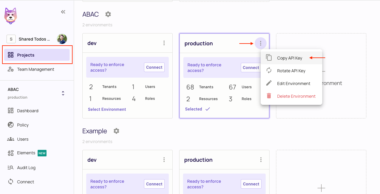 Permit Projects page with the Copy API Key option in the environment menu