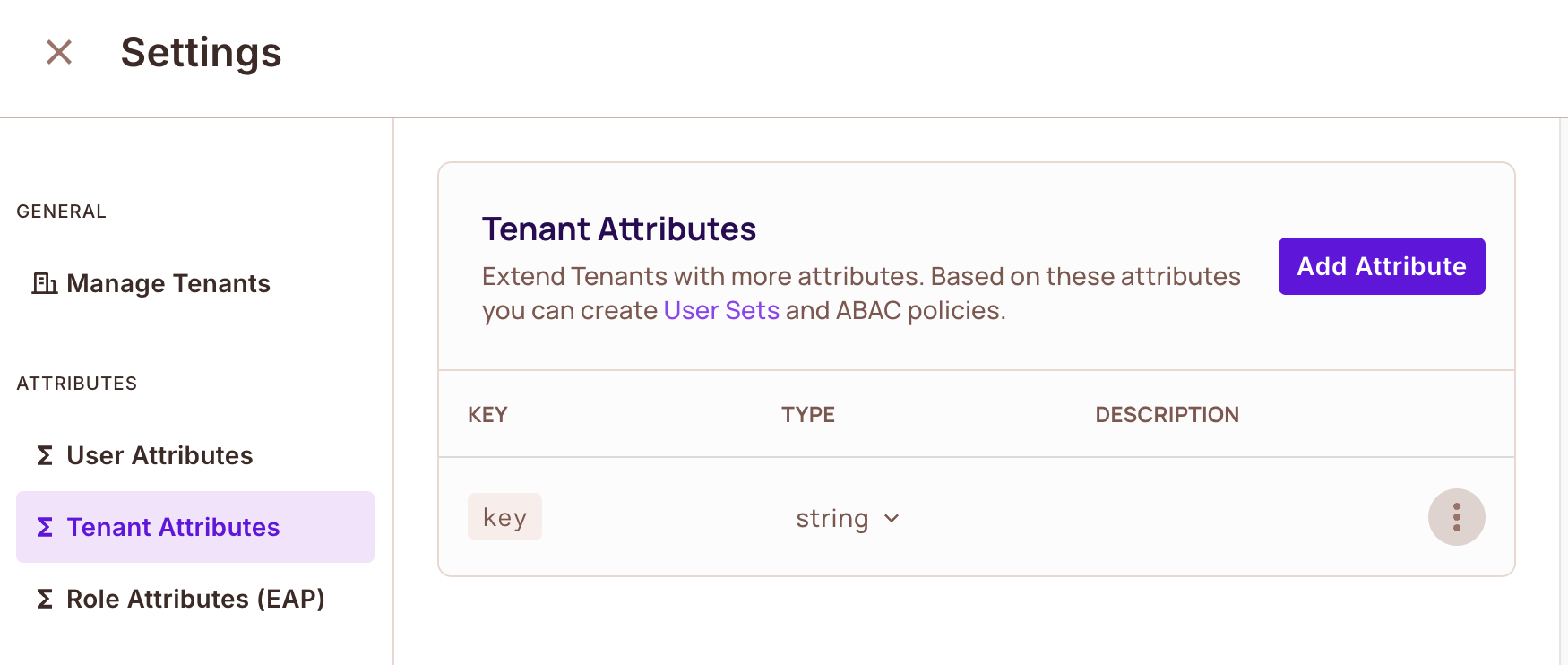Tenant Attributes settings with the key attribute