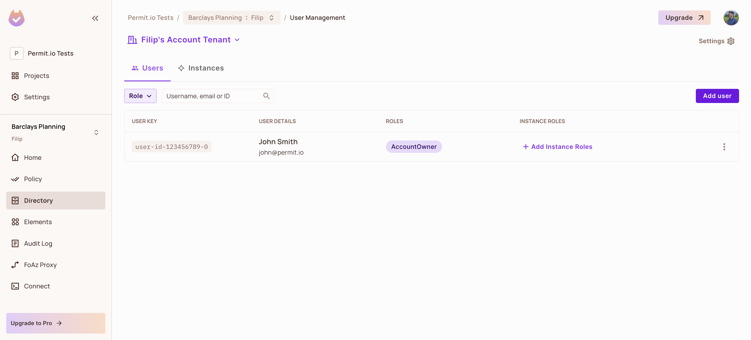 Permit Directory showing a synced user with the AccountOwner role in the user's tenant
