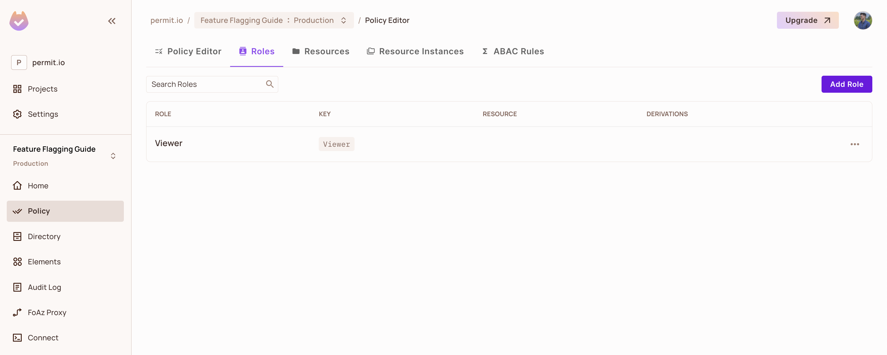 Permit Roles tab with the Viewer role