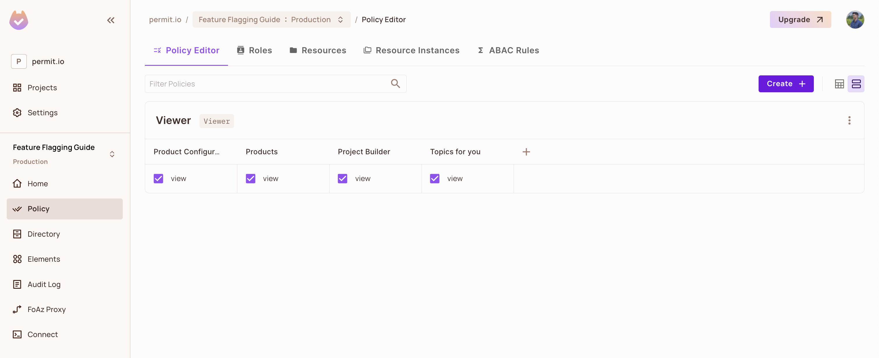 Policy Editor where the Viewer role has view checked on all four tile resources